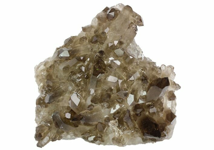 Dark Smoky Quartz Crystal Cluster - Brazil #124578